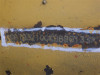 https://auction.woodyengineering.com//uploads/images/product/multipleimage_L/EXCAVATOR-CAT-320CLCR-KBB00133_1737126888363536.jpg